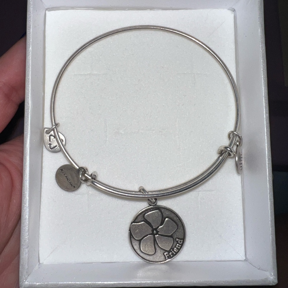 Alex and Ani friendship bracelet